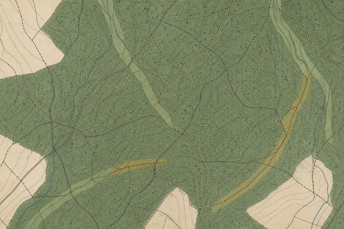 Fragment de carte topographique dessinée : bois, chemins à l'encre, chemins cavaliers en brun, bandes de risque hachurées.